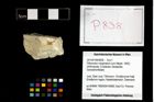 Foto (Objekt + Etikett) von Pithonoton marginatum (von Meyer, 1842)  (NHMW-GEO-2014-0194-0838)